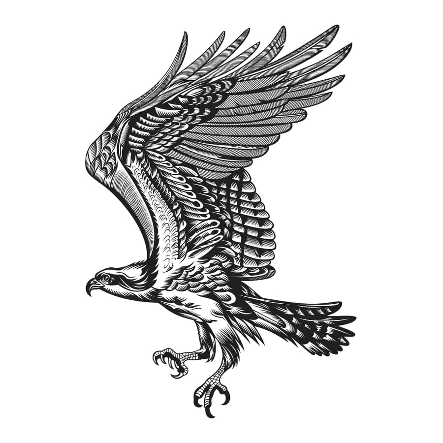 Eagle Temporary Tattoo